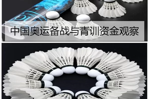 中国奥运备战与青训资金观察